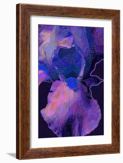 Blue Iris-Scott J. Davis-Framed Giclee Print