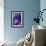 Blue Iris-Scott J. Davis-Framed Giclee Print displayed on a wall