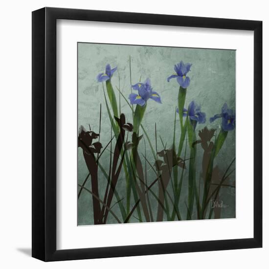 Blue Irises I-Patricia Pinto-Framed Art Print