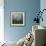Blue Irises II-Patricia Pinto-Framed Premium Giclee Print displayed on a wall