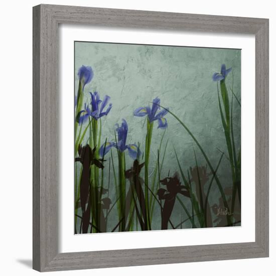 Blue Irises II-Patricia Pinto-Framed Premium Giclee Print