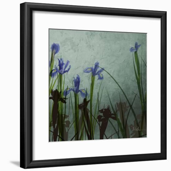 Blue Irises II-Patricia Pinto-Framed Premium Giclee Print