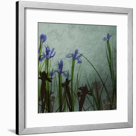 Blue Irises II-Patricia Pinto-Framed Premium Giclee Print