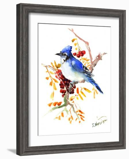 Blue Jay 12-Suren Nersisyan-Framed Art Print