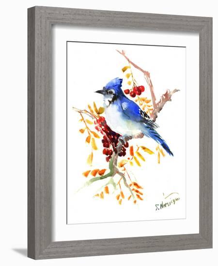 Blue Jay 12-Suren Nersisyan-Framed Art Print