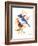 Blue Jay 12-Suren Nersisyan-Framed Art Print