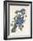 Blue Jay, 1831-John James Audubon-Framed Giclee Print