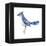 Blue Jay (Cyanocitta Cristata), Birds-Encyclopaedia Britannica-Framed Stretched Canvas