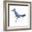 Blue Jay (Cyanocitta Cristata), Birds-Encyclopaedia Britannica-Framed Art Print