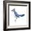 Blue Jay (Cyanocitta Cristata), Birds-Encyclopaedia Britannica-Framed Art Print