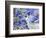 Blue Jay Way-Lauren Moss-Framed Giclee Print