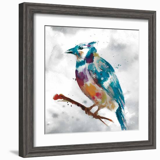 Blue Jay-Stephane Fontaine-Framed Giclee Print