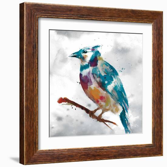 Blue Jay-Stephane Fontaine-Framed Giclee Print