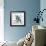 Blue Jay-Stephane Fontaine-Framed Giclee Print displayed on a wall