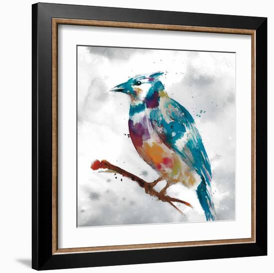 Blue Jay-Stephane Fontaine-Framed Giclee Print