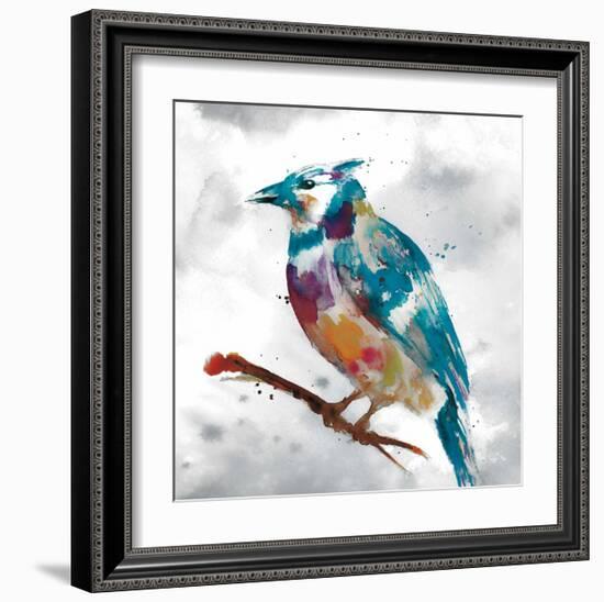 Blue Jay-Stephane Fontaine-Framed Giclee Print