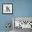 Blue Jay-Stephane Fontaine-Framed Giclee Print displayed on a wall