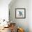 Blue Jay-Stephane Fontaine-Framed Giclee Print displayed on a wall