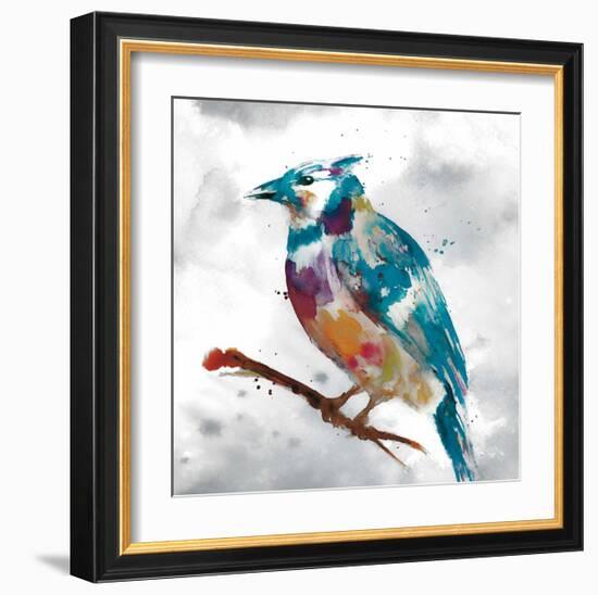 Blue Jay-Stephane Fontaine-Framed Giclee Print