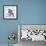 Blue Jay-Stephane Fontaine-Framed Giclee Print displayed on a wall