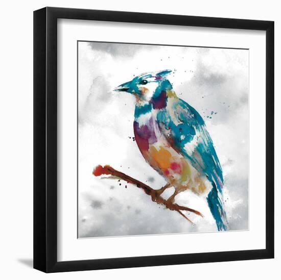 Blue Jay-Stephane Fontaine-Framed Giclee Print