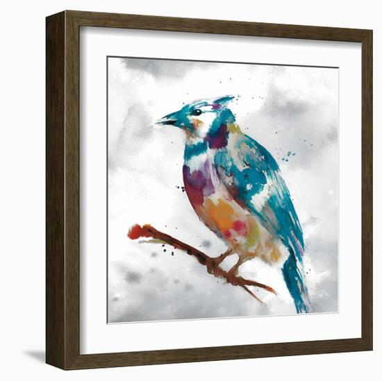 Blue Jay-Stephane Fontaine-Framed Giclee Print