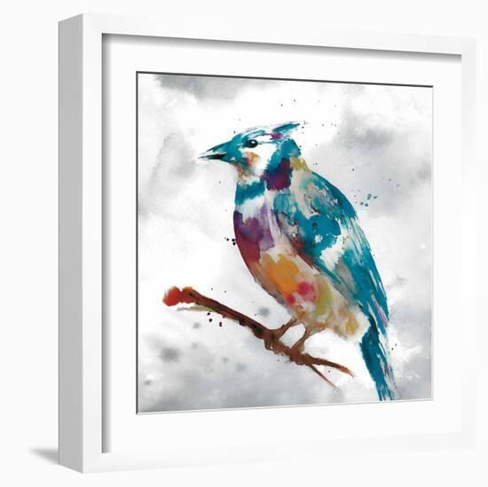 Blue Jay-Stephane Fontaine-Framed Giclee Print