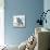 Blue Jay-Stephane Fontaine-Mounted Giclee Print displayed on a wall