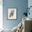 Blue Jay-James Audubon-Framed Giclee Print displayed on a wall