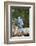 Blue Jay-Gary Carter-Framed Premium Photographic Print