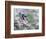 Blue Jay-Adam Jones-Framed Photographic Print