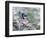 Blue Jay-Adam Jones-Framed Photographic Print