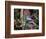 Blue Jay-Gary Carter-Framed Photographic Print