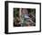 Blue Jay-Gary Carter-Framed Photographic Print