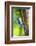 Blue Jay-Gary Carter-Framed Photographic Print