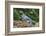 Blue Jay-Gary Carter-Framed Photographic Print