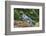 Blue Jay-Gary Carter-Framed Photographic Print