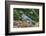 Blue Jay-Gary Carter-Framed Photographic Print