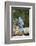 Blue Jay-Gary Carter-Framed Photographic Print