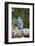 Blue Jay-Gary Carter-Framed Photographic Print