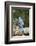 Blue Jay-Gary Carter-Framed Photographic Print