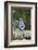 Blue Jay-Gary Carter-Framed Photographic Print