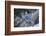 Blue Jay-Gary Carter-Framed Photographic Print