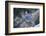 Blue Jay-Gary Carter-Framed Photographic Print