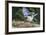 Blue Jay-Gary Carter-Framed Photographic Print