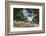 Blue Jay-Gary Carter-Framed Photographic Print