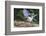 Blue Jay-Gary Carter-Framed Photographic Print