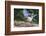 Blue Jay-Gary Carter-Framed Photographic Print