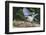 Blue Jay-Gary Carter-Framed Photographic Print