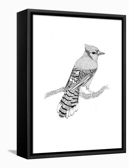Blue Jay-The Tangled Peacock-Framed Premier Image Canvas